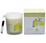 Scented Frosted Glass Jar Candles With Iron Cover Custom Pattern