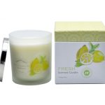 Scented Frosted Glass Jar Candles With Iron Cover Custom Pattern