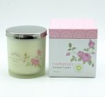 Scented Frosted Glass Jar Candles With Iron Cover Custom Pattern - Image 3