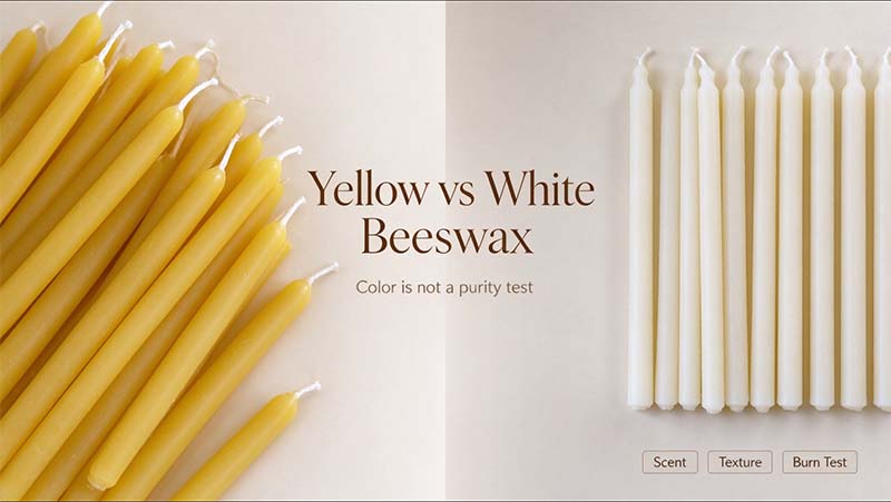 Why Beeswax Candles Are Yellow or White