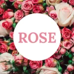 Usage Scenarios for Rose-Pink Scented Candles