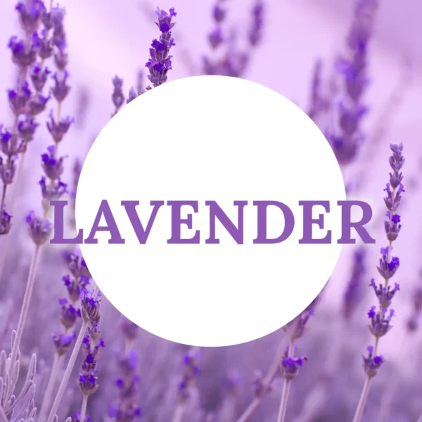 Lavender-scented tea light candle setting